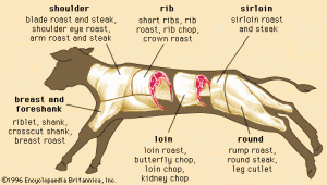 what meat is veal