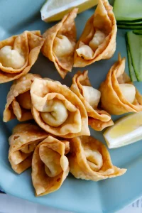 what is fried wonton