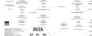 how are different cheeses made