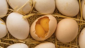 double yolk egg meaning