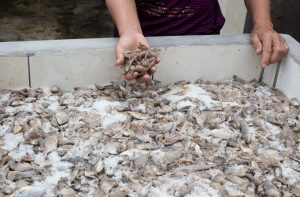 how is fish sauce made