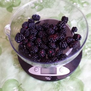 how much is 16oz of blackberrys