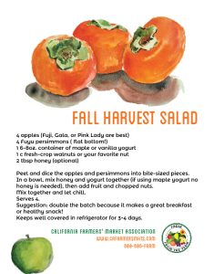 when are persimmons in season
