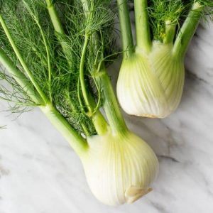 how do you prepare and cook fennel