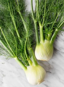 what is a fennel