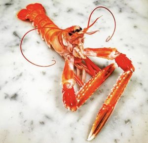 what is a langoustine