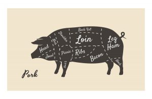 what is a boston butt