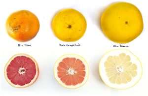why is grapefruit not red inside