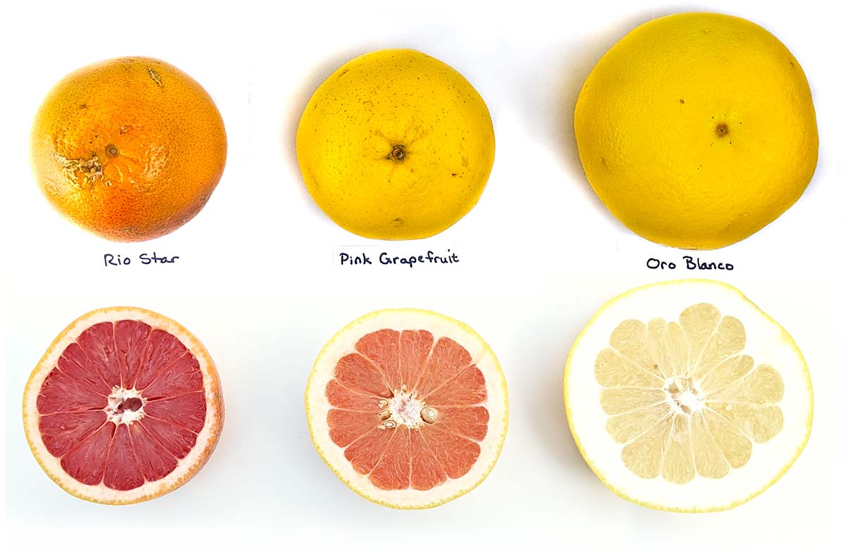 why is grapefruit not red inside
