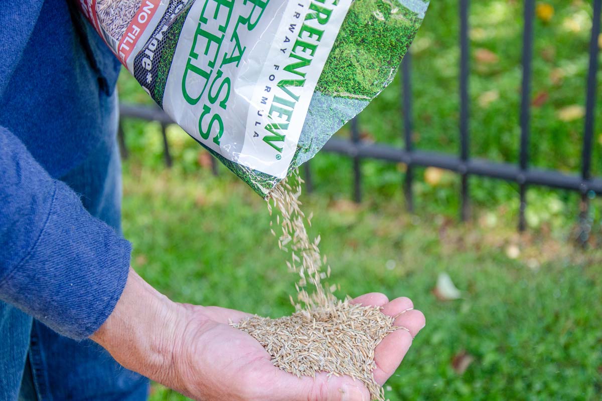 how much grass seed to upkeep fairways
