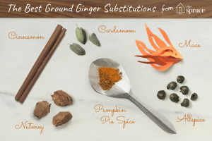 what is the best substitute for ginger