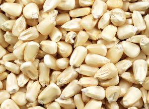 is hominy good for you