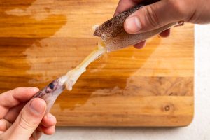 how to clean squid