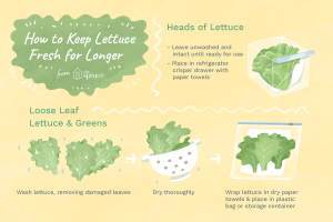 how to keep lettuce fresh