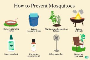 how to repel mosquitoes in yard