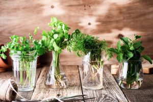 how to store fresh herbs