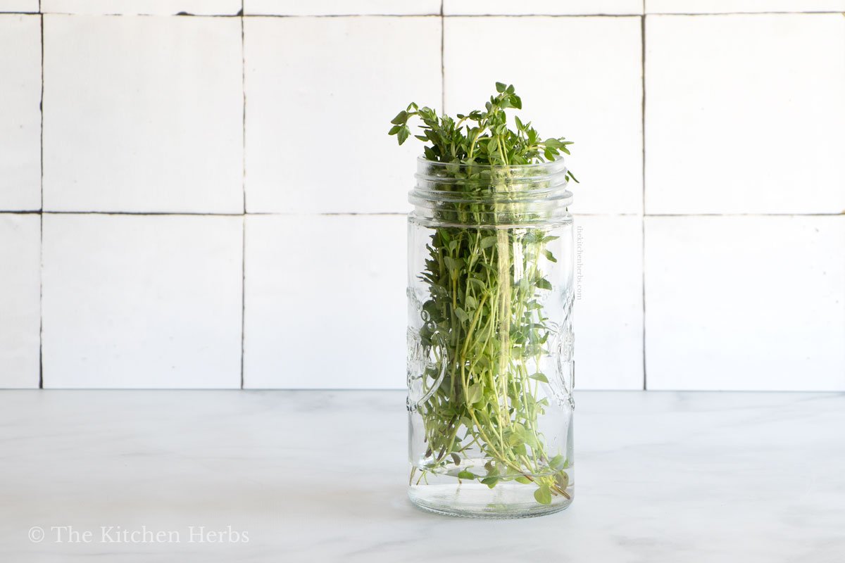 how to store fresh thyme