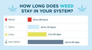 how long does weee take