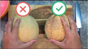 how to pick a honeydew melon