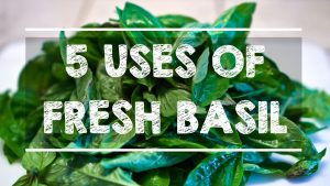 how to use fresh basil
