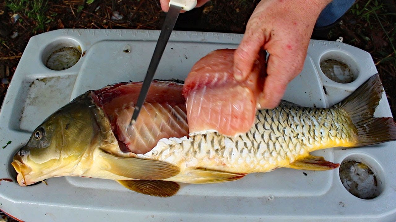 is carp good to eat