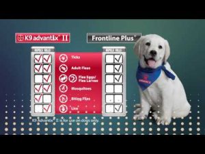 is frontline plus or k9 advantix ii better for dogs