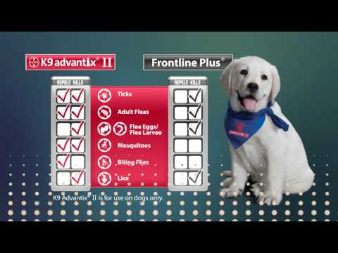 is frontline plus or k9 advantix ii better for dogs