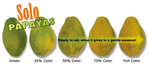 how to tell if a papaya is ripe