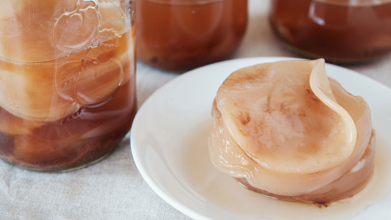 what is a scoby