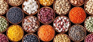 are lentils a legume