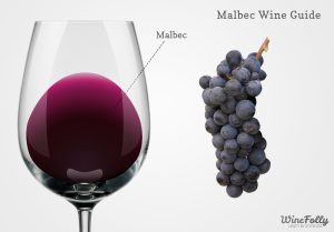 what is malbec wine
