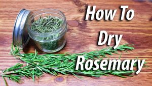 how do you dry rosemary