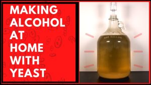 how is yeast used to make alcohol at home