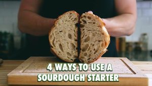 how to use sourdough starter