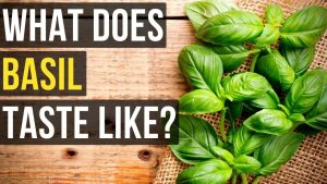 what does basil taste like