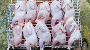 what does quail taste like