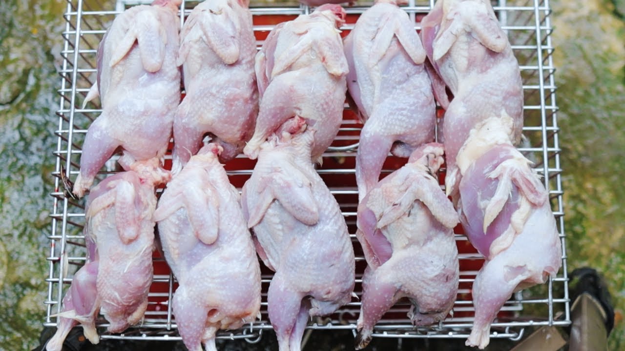 what does quail taste like