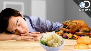 what is a food coma