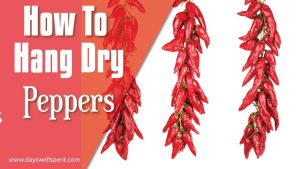 how to dry peppers