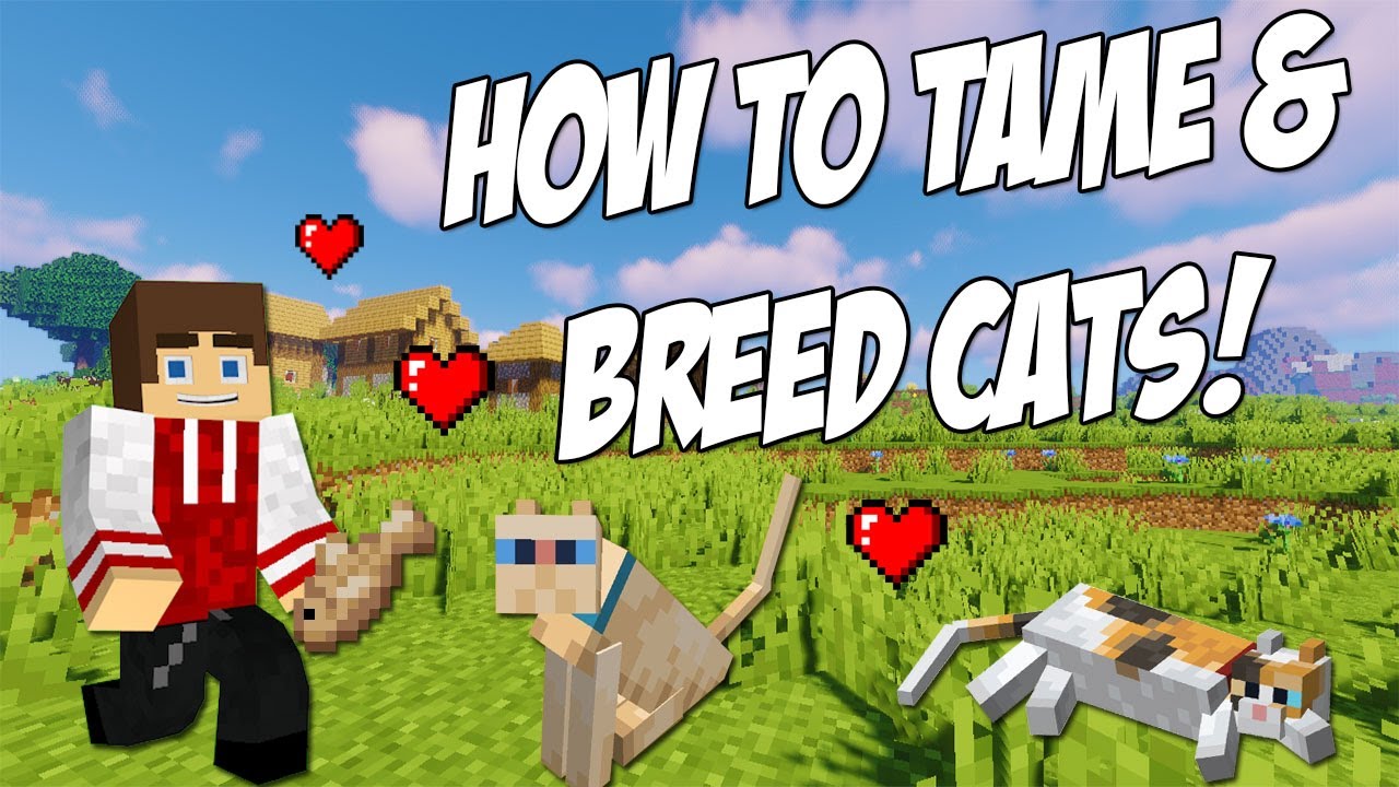 how to get a cat in minecraft