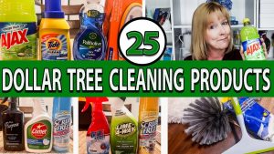 dollar tree cleaning supplies