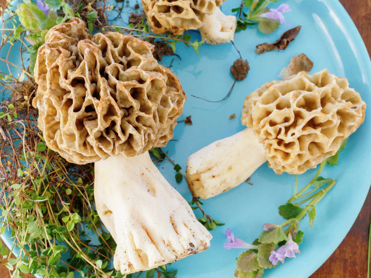 what are morel mushroom supposed to taste like