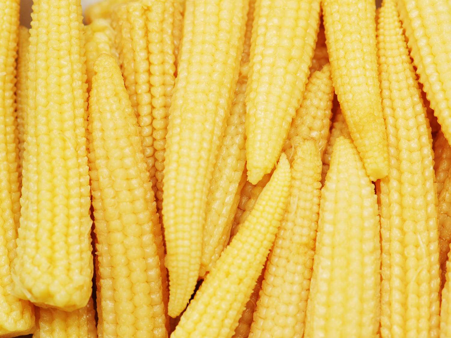 is mini corn really corn