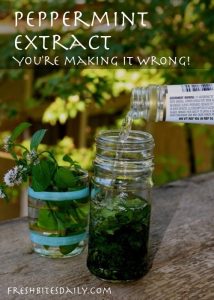 how to make peppermint extract
