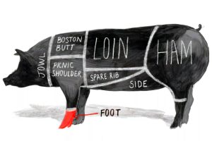 what part of the pig is ham