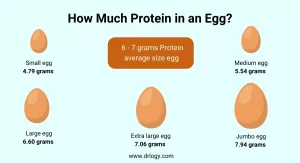 how much protein is in 2 eggs