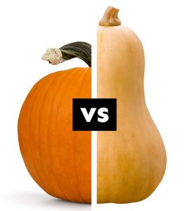 is a pumpkin a squash