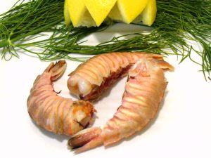 what is rock shrimp