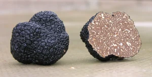 what is black truffle