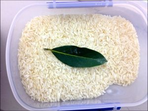 how to get rid of ants in rice container natural